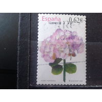Испания 2009 Цветы Михель-1,3 евро гаш
