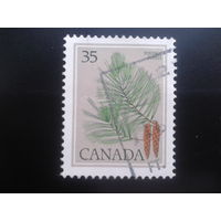 Канада 1979 стандарт, шишки