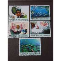 Ангола 2000 г. Цветы.