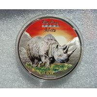 240 франков Конго 2008 Носорог Большая пятёрка Африки Серебро 999