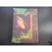 В.Г.Серов Волшебный мир аквариума 1990