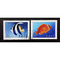 Марки КНДР Корея.1986.  Тропические рыбы. Фауна, полная серия из 2-х марок