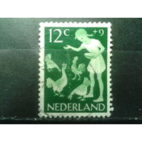 Нидерланды 1962 Птичник