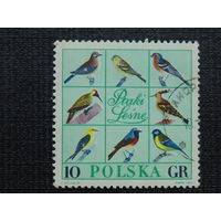 Польша 1966г. Птицы.
