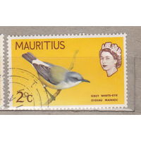 Птицы и королева Елизавета II  Маврикий 1965 год  лот 16