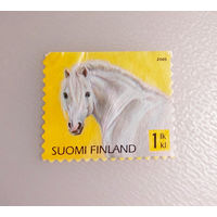 Финляндия 2005. Фауна. Лошадь. Белое пони