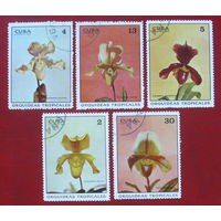 Куба. Орхидеи. ( 5 марок ) 1972 года. 1-9.