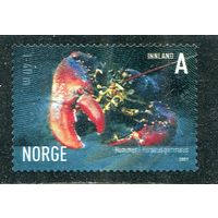 Норвегия. Морская фауна. Европейский омар