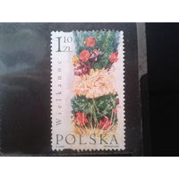 Польша 2002, Цветы
