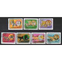 Дикие кошачьи Монголия 1979 год серия из 7 марок