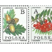 1995 Польша флора стандарт серия Лесные Ягоды **