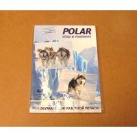 Фотобумага Polar A4 для лазерной печати (матовая) (250 г/м2) (19 листов)