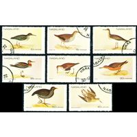 Птицы Нагаленд 1972 год серия из 8 марок