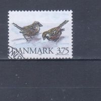 [1303] Дания 1994. Фауна.Птицы.Воробьи. Гашеная марка.