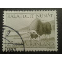 Дания Гренландия 1969  бык