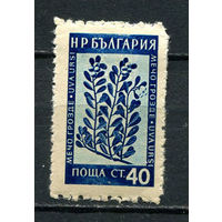 Болгария - 1953/1954 - Горные цветы и лекарственные растения 40St - [Mi.881] - 1 марка. MH.  (Лот 33FA)-T25P8