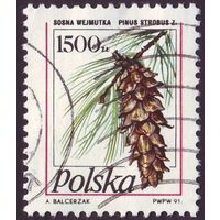 Сосны Польша 1991 год 1 марка