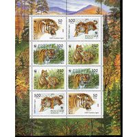 Уссурийский тигр Россия 1993 год (124-127) малый лист из 2-х серий