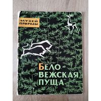 Беловежская пуща. Музей природы. 1965 год