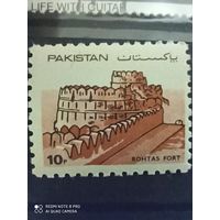 Пакистан чистая крепость