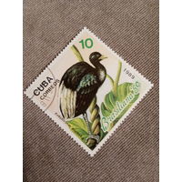 Куба 1989. Птицы. Psophia leucoptera