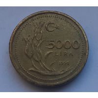 Турция 5.000 лир, 1995 (1-8-108)