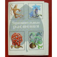 " Удивительные растения ". Набор открыток 1989 года. ( 32 шт. ) 122.