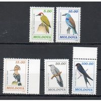 Птицы  Молдавия 1993 год 5 марок