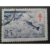 Финляндия 1955 рыба