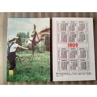 Карманный календарик. Лошадь и ребёнок. 1989 год