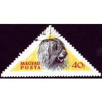 Собаки Венгрия 1956 год 1 марка