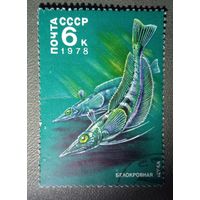 Марка СССР Рыбы 1978