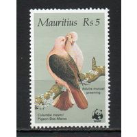 Голуби Маврикий 1985 год 1 марка