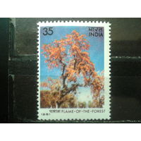 Индия 1981 Цветущее дерево**