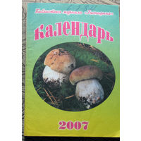 Настольный календарь 2007