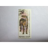 СССР 1990 Фауна Динозавры Ископаемые животные