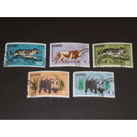 Гвинея 1964 Фауна Африки. 5 марок