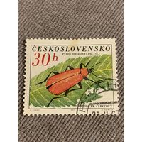 Чехословакия 1967. Жуки. Pyrochroa Coccinea