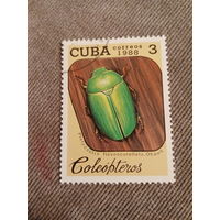 Куба 1988. Жуки. Platycoelia flavoscutellata