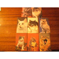 Календари 1990 г. Коты