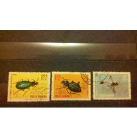 Жуки, насекомые, фауна, марки, Румыния, 1964