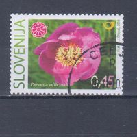 [228] Словения 2007. Флора.Цветок.Орхидея. Гашеная марка.