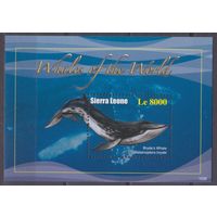2011 Сьерра-Леоне 5432/B654 Морская фауна/Киты