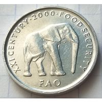 Сомали 5 шиллингов, 2000     ( 4-8-2 )