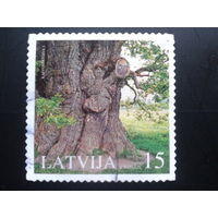 Латвия 2005 дерево