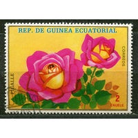 Флора. Роза. Экваториальная Гвинея. 1975