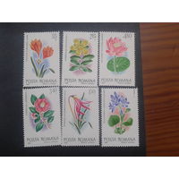 Румыния 1980 цветы полная серия