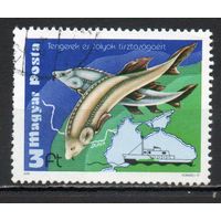 За чистоту морей и рек Венгрия 1979 год серия из 1 марки