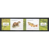 Стандартный выпуск Защита животных Австрия 2010 год серия из 2-х марок