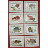 Вьетнам. Рыбы. ( 8 марок ) 1976 года. 3-5.